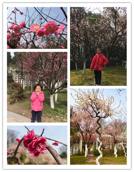 yl23411永利(集团)有限公司官网