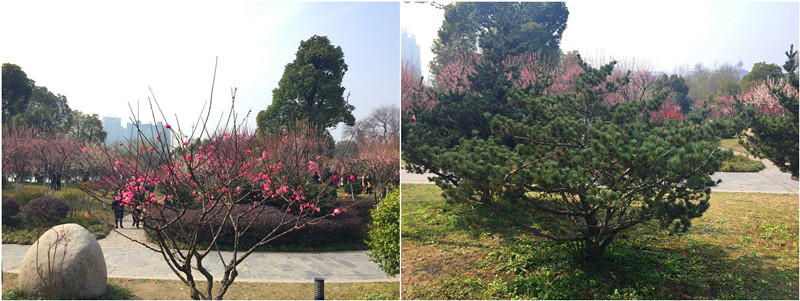 yl23411永利(集团)有限公司官网